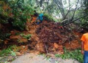 Bupati Solok Perintahkan Alat Berat dan TRC BPBD Bersihkah Material Longsor Nagari Lolo