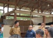 Wabup Padang Pariaman Tinjau Kesiapan Pacu Kuda Balah Aie Jelang Event April 2025