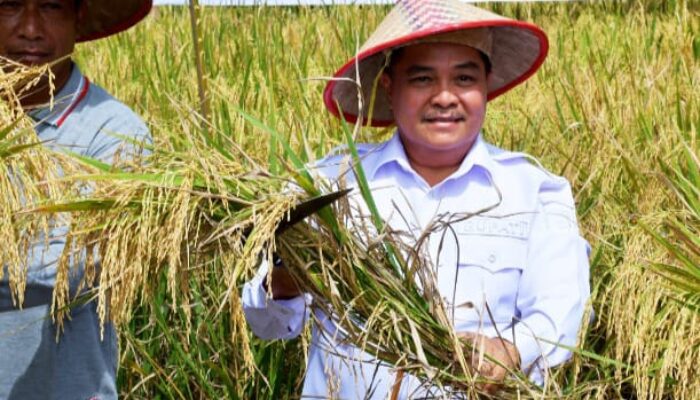 Sekda Lutfi, Sebut “PSM” Merupakan Inovasi Dalam Peningkatan Ekonomi Masyarakat