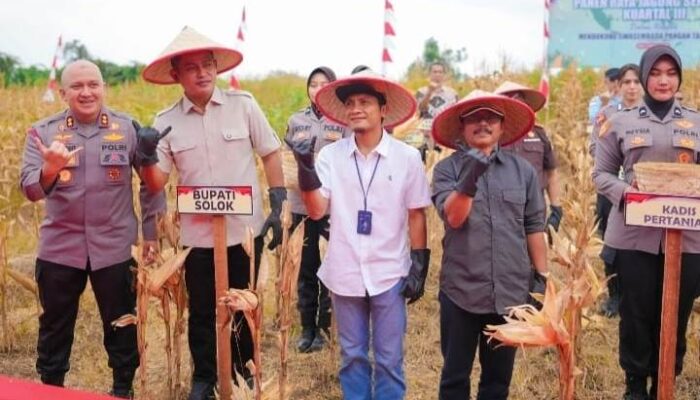 Bupati Solok Dan Kapolda Sumbar Panen Raya Jagung Serentak Kuartal III di Sukarami